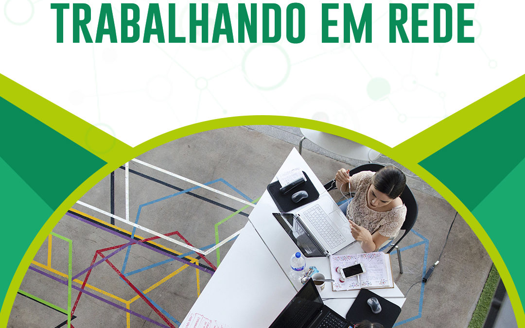 TRABALHANDO EM REDE