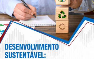 DESENVOLVIMENTO SUSTENTÁVEL: A força catalisadora dos Objetivos de Desenvolvimento Sustentável (ODS)